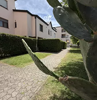 Foto annuncio 27