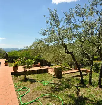Foto annuncio 27