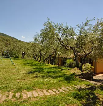 Foto annuncio 28