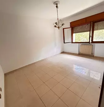 Foto annuncio 24