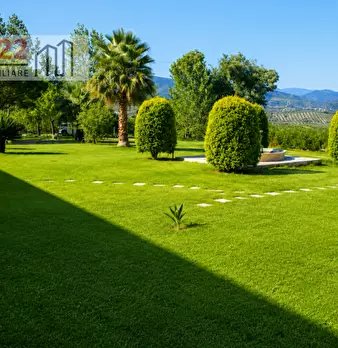 Foto annuncio 24