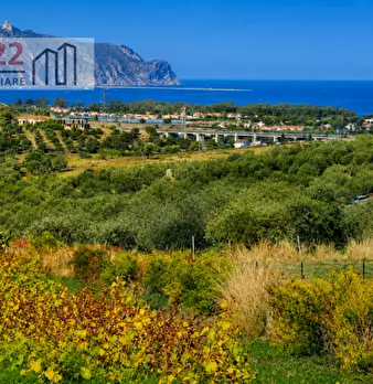 Foto annuncio 28