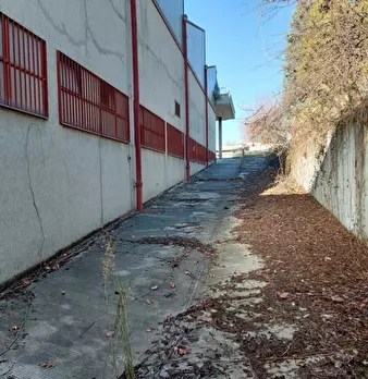Foto annuncio 12