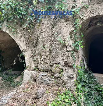 Foto annuncio 11