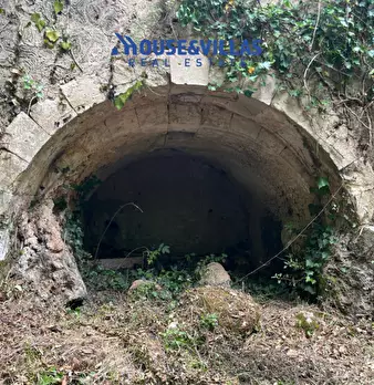 Foto annuncio 12
