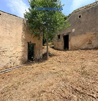 Foto annuncio 14