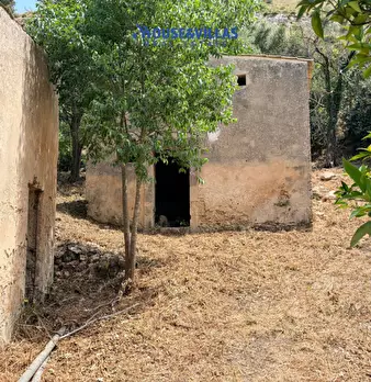 Foto annuncio 15
