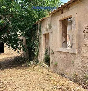 Foto annuncio 16