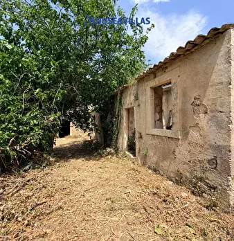 Foto annuncio 21