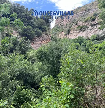 Foto annuncio 37