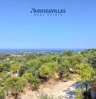 Foto annuncio 24