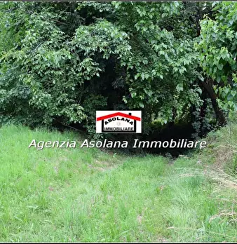 Foto annuncio 44