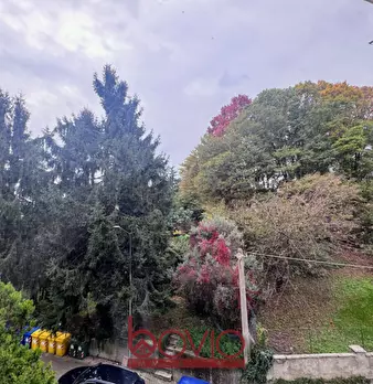 Foto annuncio 33
