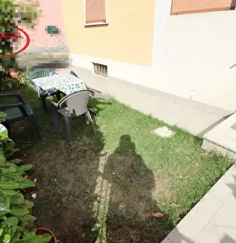 Foto annuncio 29