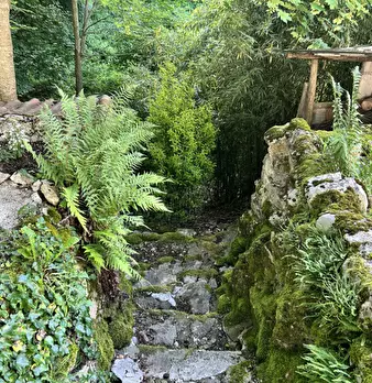 Foto annuncio 24