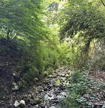 Foto annuncio 26