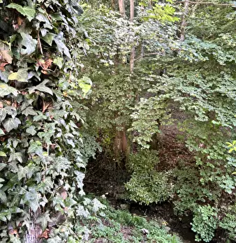 Foto annuncio 27