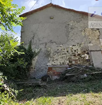Foto annuncio 8