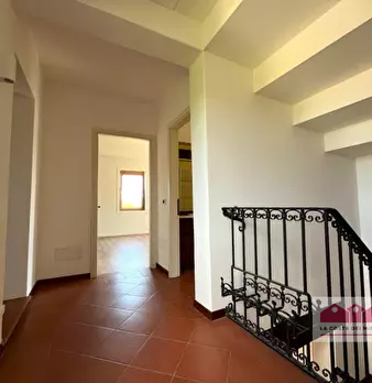 Foto annuncio 12