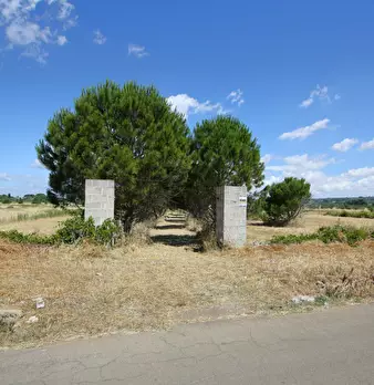 Foto annuncio 1