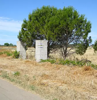 Foto annuncio 2