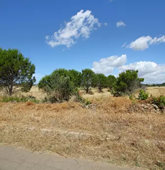 Foto annuncio 4