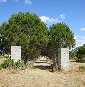 Foto annuncio 5