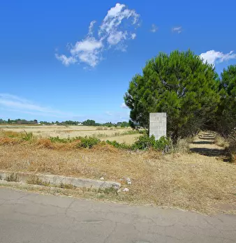 Foto annuncio 6