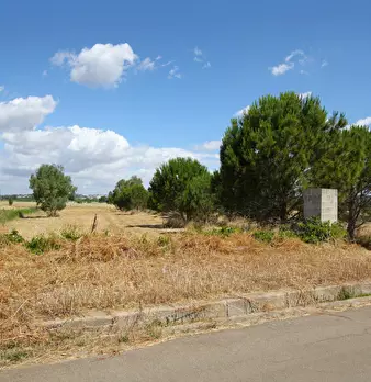 Foto annuncio 7