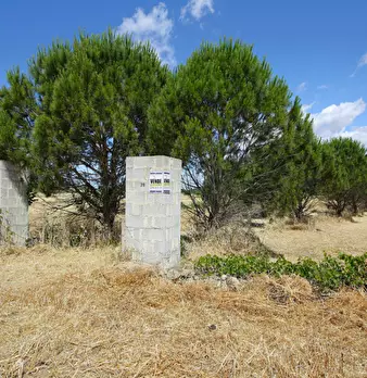 Foto annuncio 8