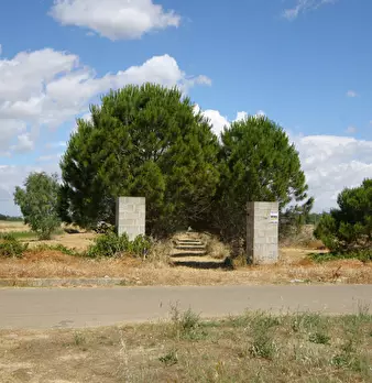 Foto annuncio 13