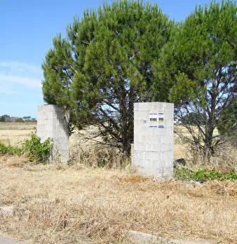 Foto annuncio 14