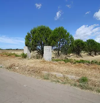 Foto annuncio 15