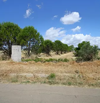 Foto annuncio 16