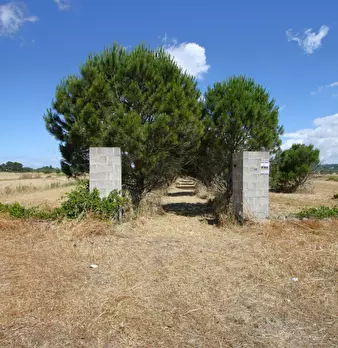 Foto annuncio 18