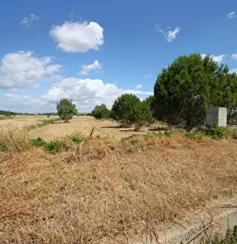 Foto annuncio 19