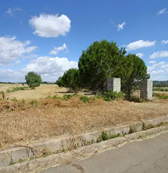 Foto annuncio 20