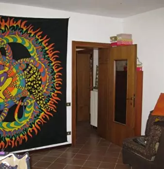 Foto annuncio 7