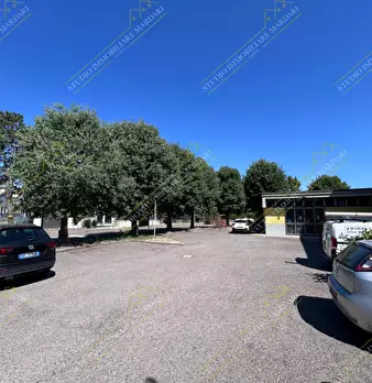 Foto annuncio 46