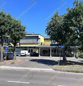 Foto annuncio 50