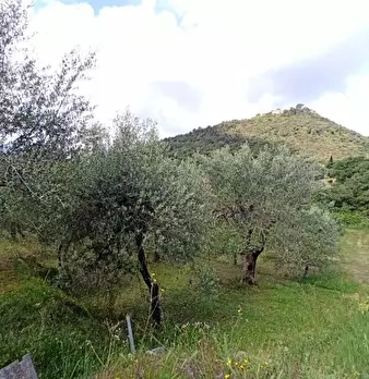 Foto annuncio 5