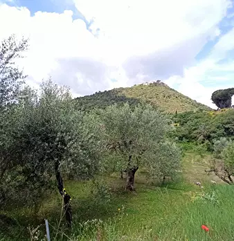 Foto annuncio 9