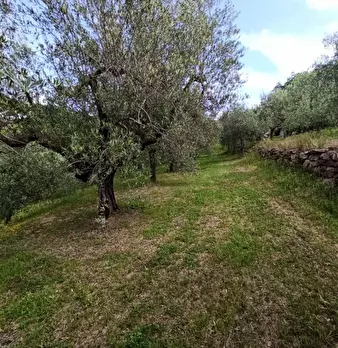Foto annuncio 13