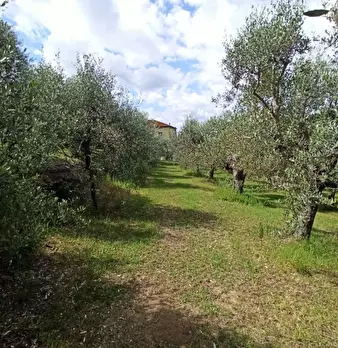 Foto annuncio 14
