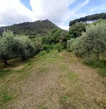 Foto annuncio 16