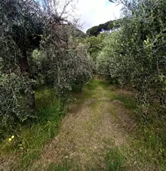 Foto annuncio 17