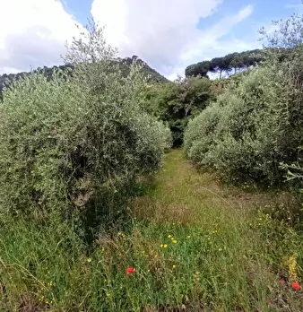 Foto annuncio 18
