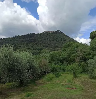 Foto annuncio 19