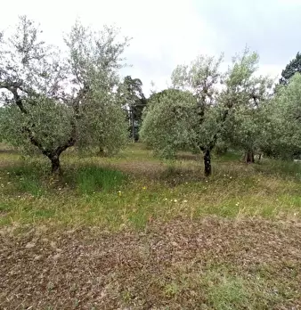 Foto annuncio 7