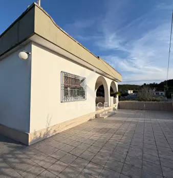 Foto annuncio 6